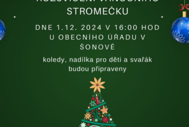 Rozsvícení stromečku